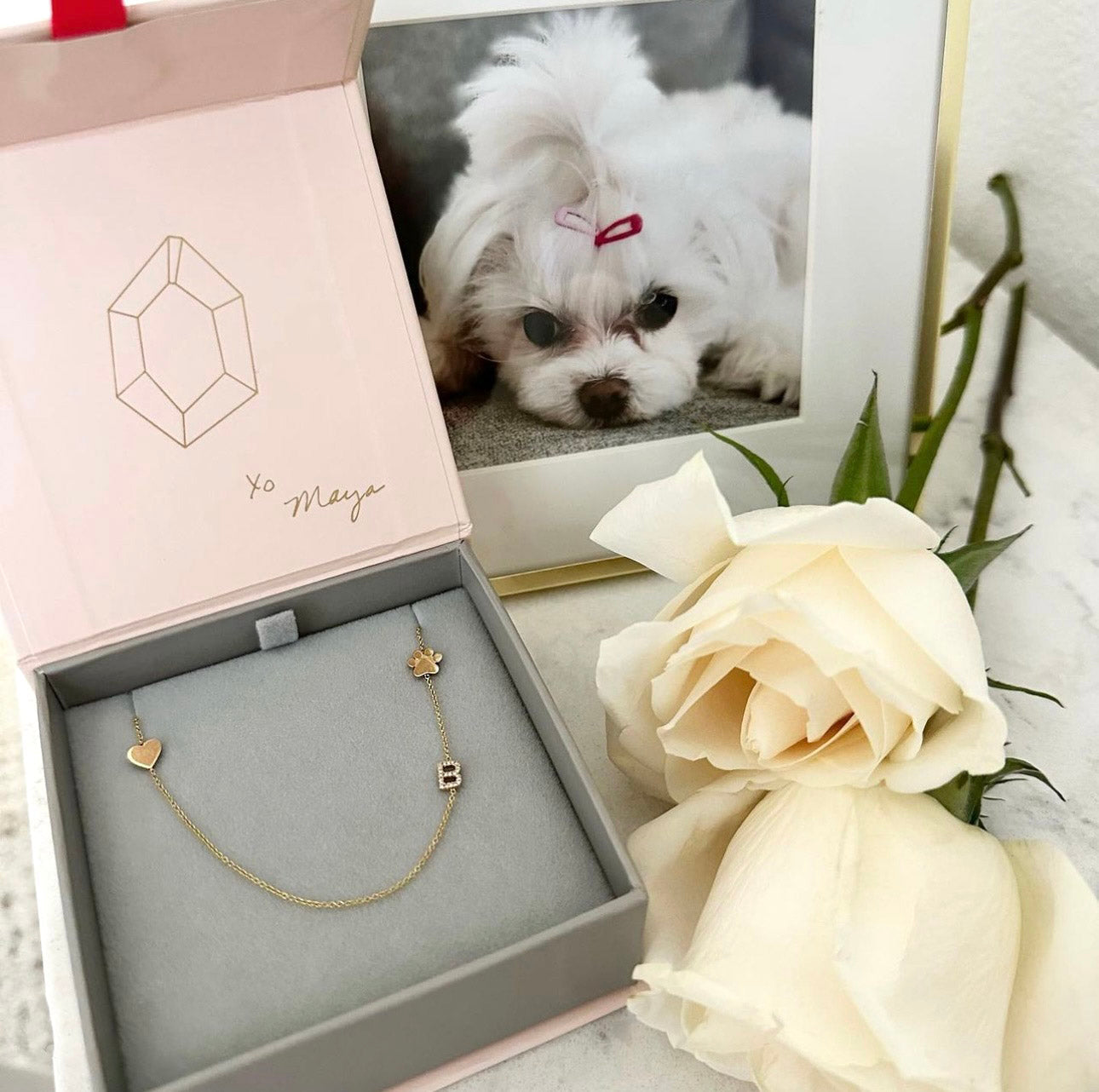 Fur-ever in Our Hearts: Remembering Bella