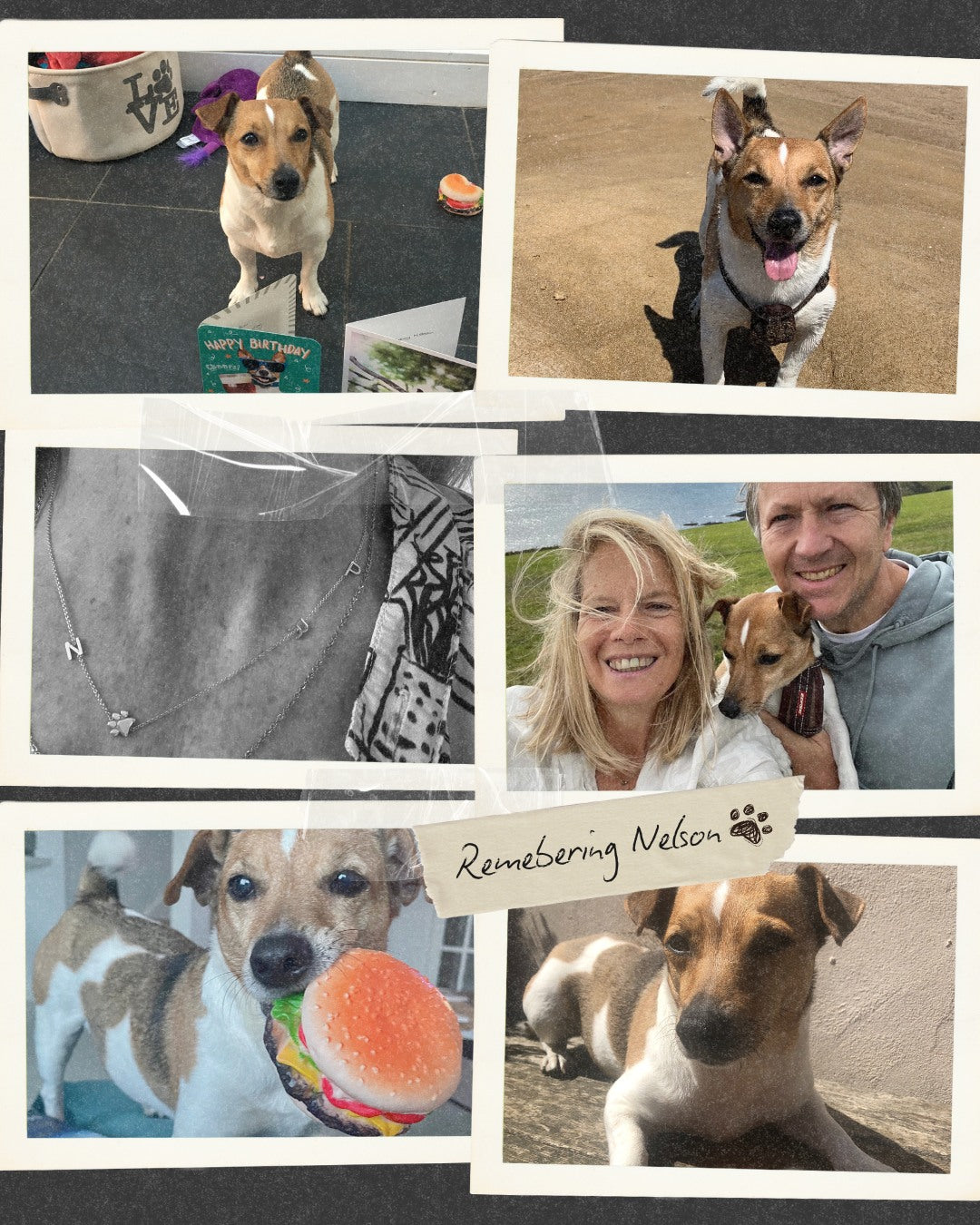 The Gift That Keeps on Giving: Paula's Story