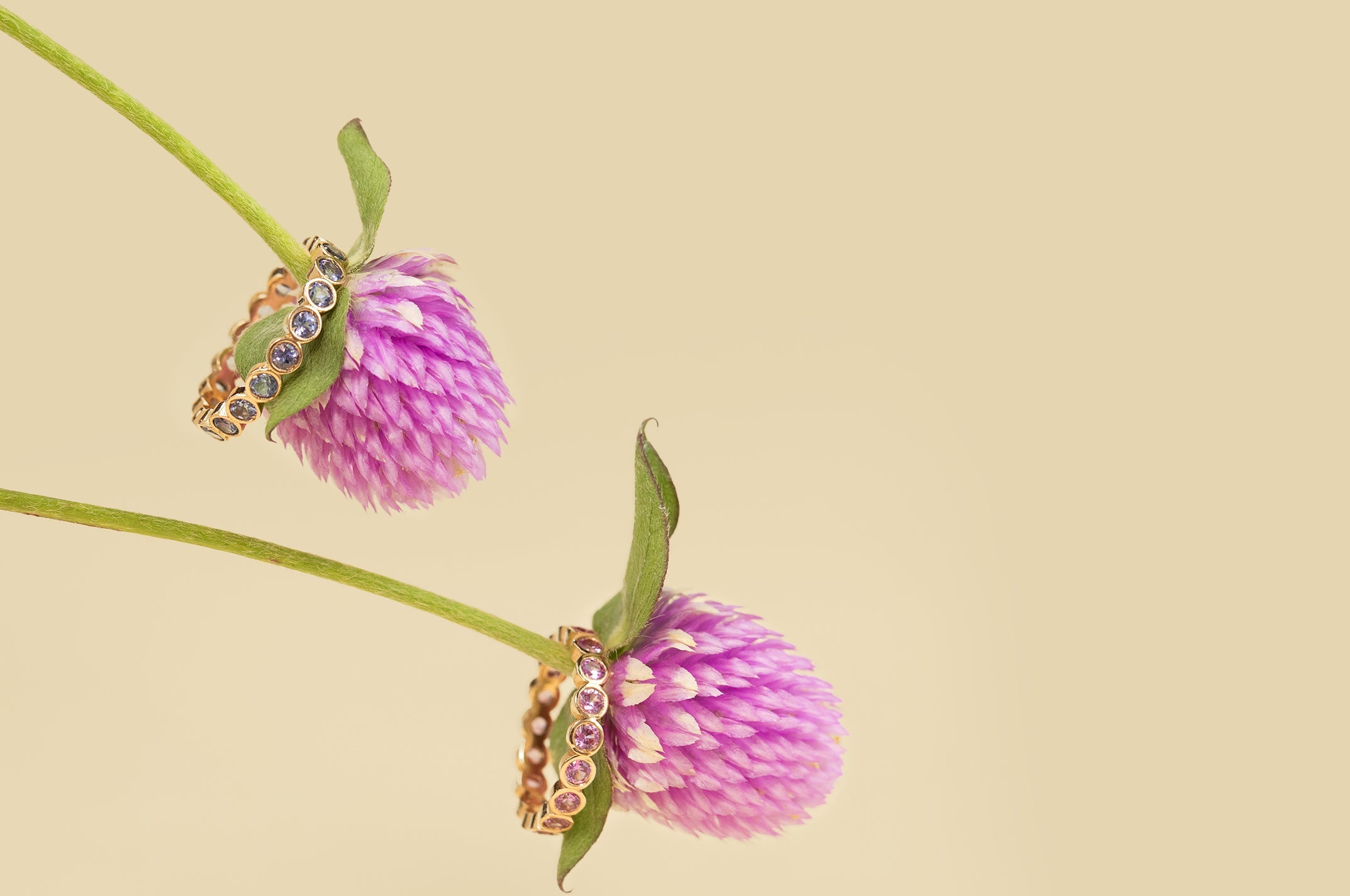 Bouquet Collection - MayaBrennerUK