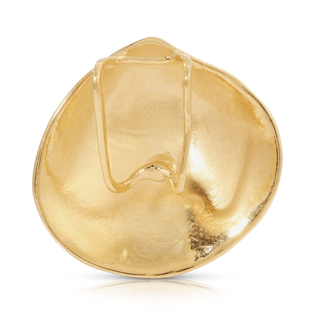 Back of The Golden Venus Shell on a white background. 