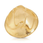 Back of The Golden Venus Shell on a white background. 