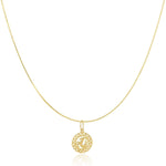 The Zodiac Necklace - Capricorn on a white background. 