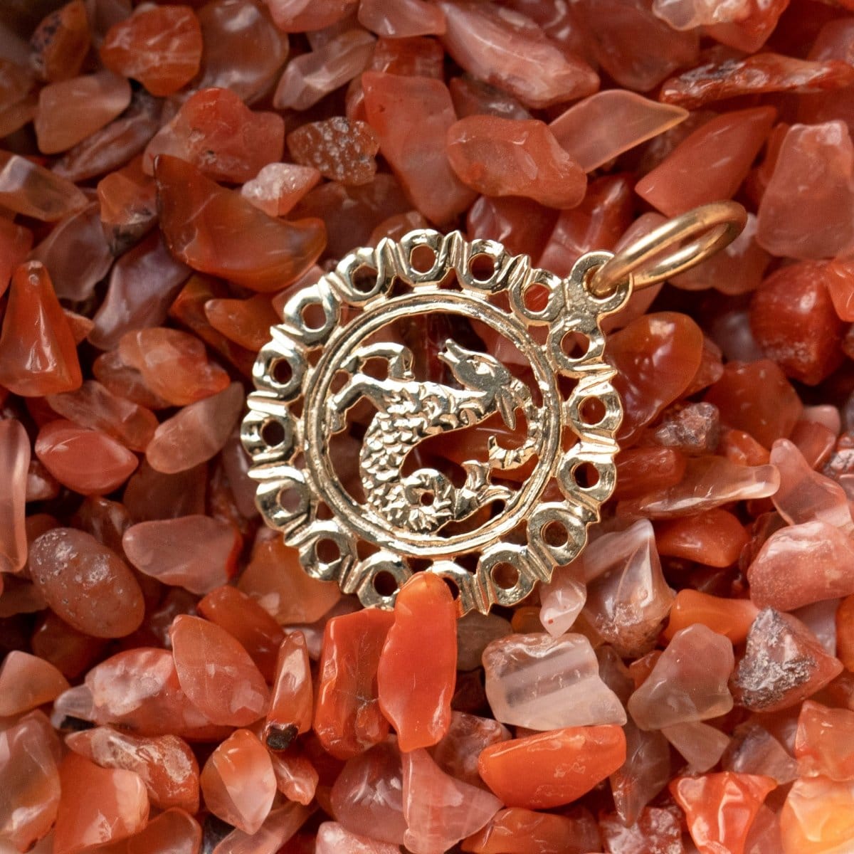 The Zodiac Necklace - Capricorn pendant laid on top of small red stones. 