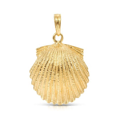 A Golden Scallop Shell on a white background. 