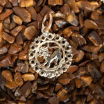 The Zodiac Necklace - Leo pendant laid on top of brown stones. 
