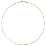 The Omega Chain on a white background. 