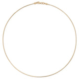 The Omega Chain on a white background. 