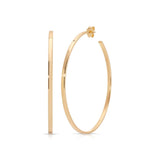 A Sleek & Chic Hoops - Medium in yellow gold on a white background. 