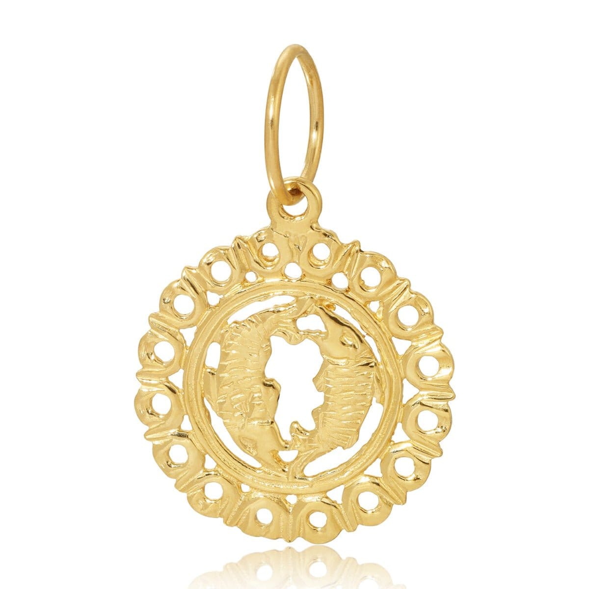 The Zodiac Pendant in Pisces on a white background.