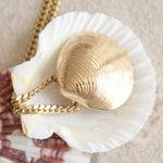 A Chic Cuban Curb Chain and The Golden Venus Shell  on top of a shell and a blurred background. 