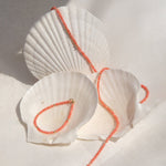 An Endless Summer Bracelet and Necklace in Mykonos laid on white seashells. 
