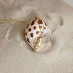A Golden Spiral Shell on a Slide Chain against a sandy background. 