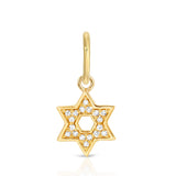 14K Diamond Star of David Pendant Charm