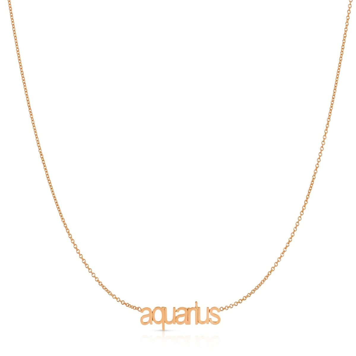 Petite Zodiac Necklace - MayaBrennerUK