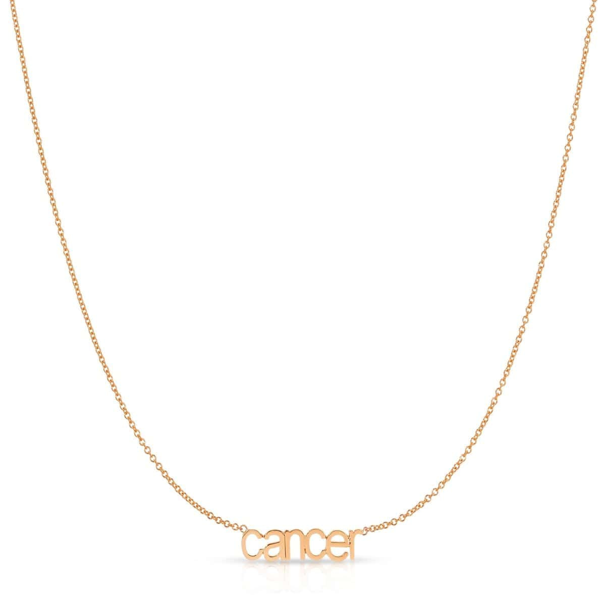 Petite Zodiac Necklace - MayaBrennerUK