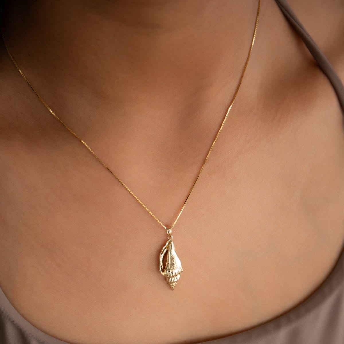 The Slide Chain with a Golden Spiral Shell on a person's neck. 