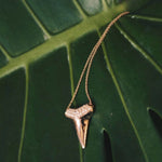 A Sharktooth Necklace with Pavé Top in yellow gold on a green leaf background. 