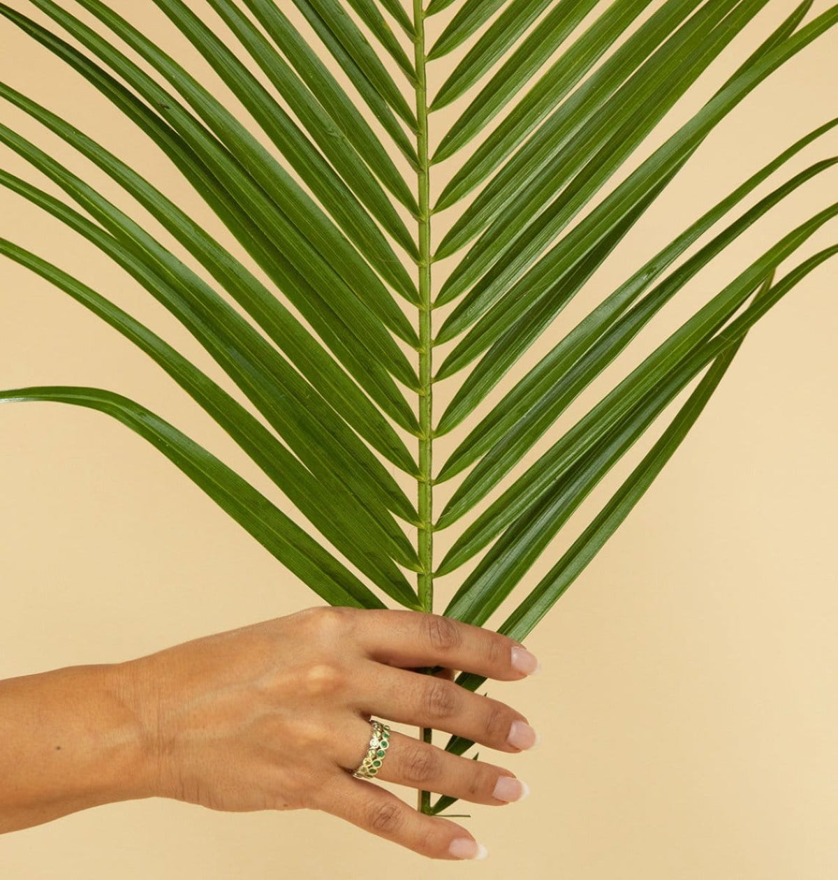 A hand wearing The Hydrangea Bouquet Ring and The Fern Bouquet Ring holding a palm palm leaf against a beige background. 