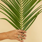 A hand wearing The Hydrangea Bouquet Ring and The Fern Bouquet Ring holding a palm palm leaf against a beige background. 